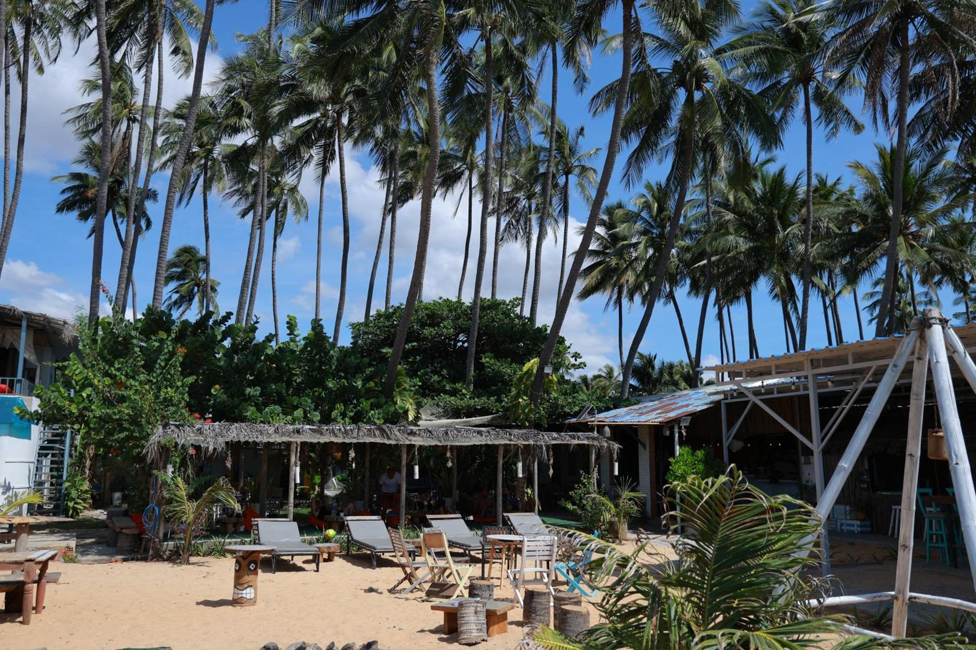 Eva Hut Mui Ne Beach Hostel Eksteriør bilde