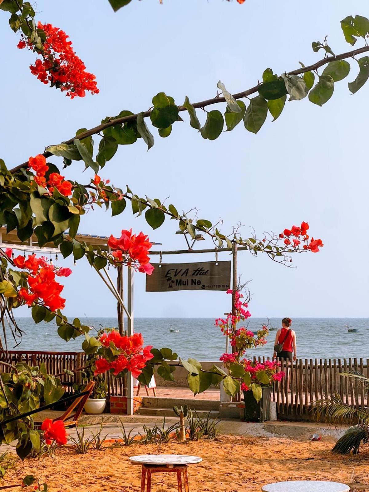 Eva Hut Mui Ne Beach Hostel Eksteriør bilde
